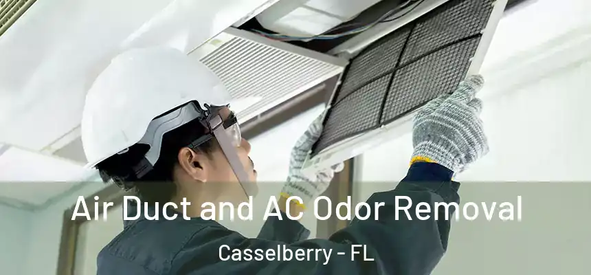 Air Duct and AC Odor Removal Casselberry - FL