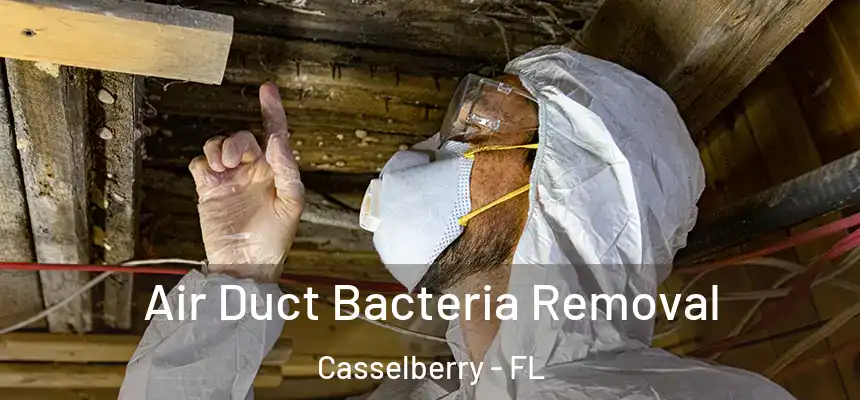 Air Duct Bacteria Removal Casselberry - FL