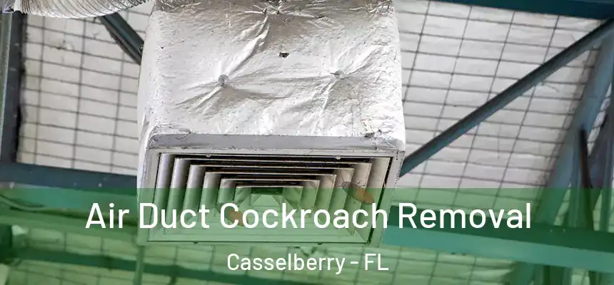 Air Duct Cockroach Removal Casselberry - FL