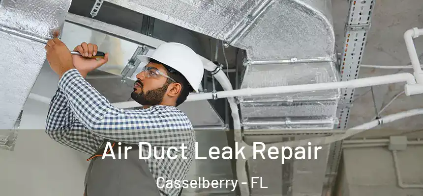 Air Duct Leak Repair Casselberry - FL