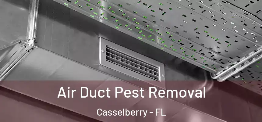 Air Duct Pest Removal Casselberry - FL