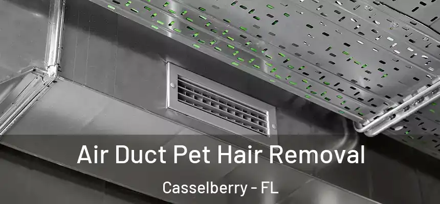 Air Duct Pet Hair Removal Casselberry - FL