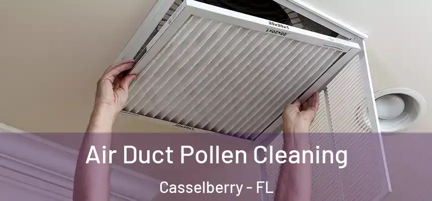 Air Duct Pollen Cleaning Casselberry - FL
