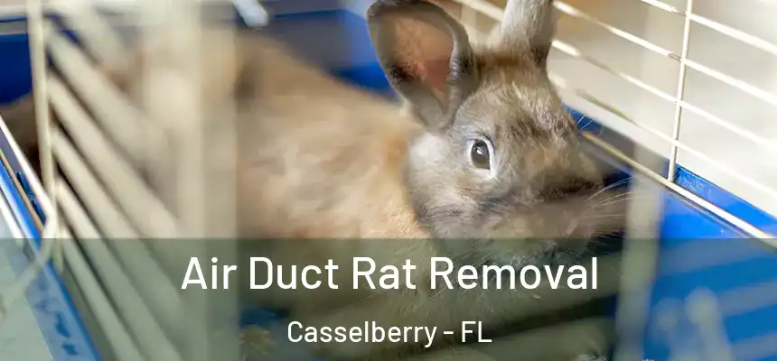 Air Duct Rat Removal Casselberry - FL
