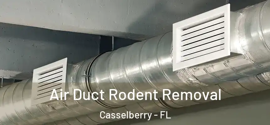 Air Duct Rodent Removal Casselberry - FL