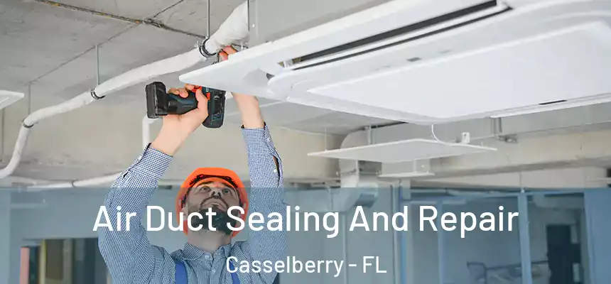 Air Duct Sealing And Repair Casselberry - FL
