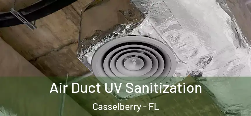 Air Duct UV Sanitization Casselberry - FL