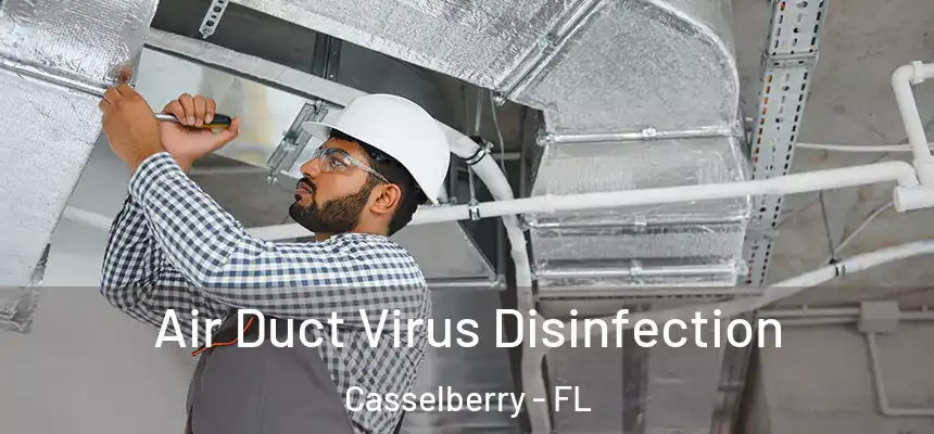 Air Duct Virus Disinfection Casselberry - FL