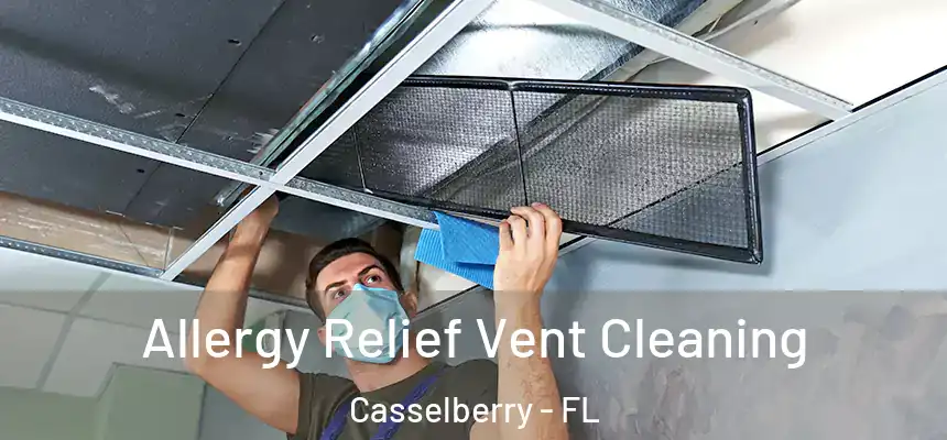 Allergy Relief Vent Cleaning Casselberry - FL
