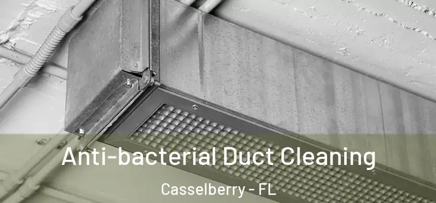 Anti-bacterial Duct Cleaning Casselberry - FL