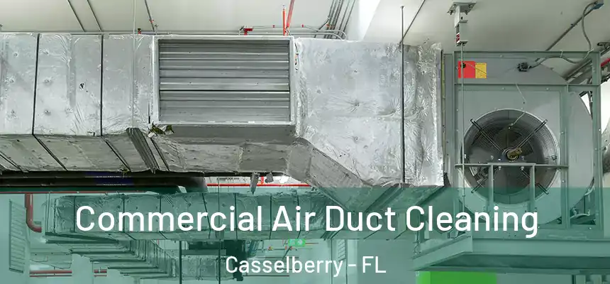 Commercial Air Duct Cleaning Casselberry - FL