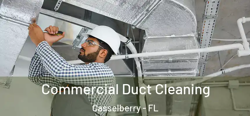 Commercial Duct Cleaning Casselberry - FL