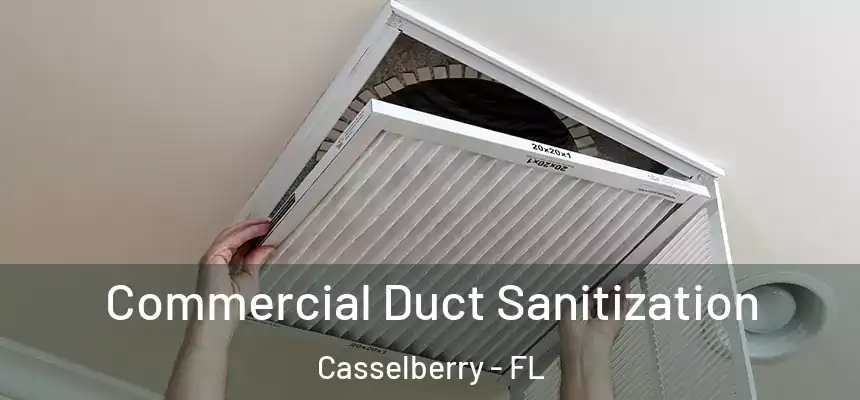 Commercial Duct Sanitization Casselberry - FL