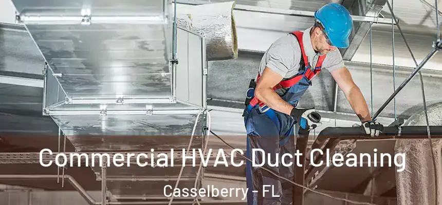 Commercial HVAC Duct Cleaning Casselberry - FL