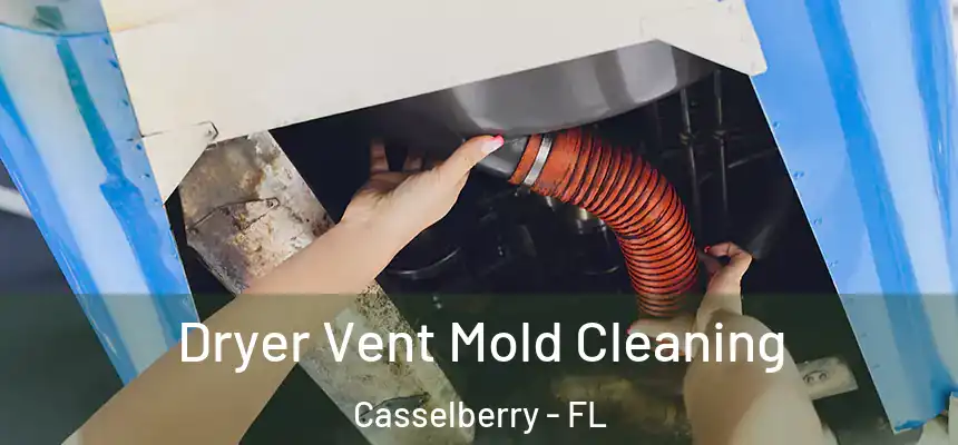 Dryer Vent Mold Cleaning Casselberry - FL