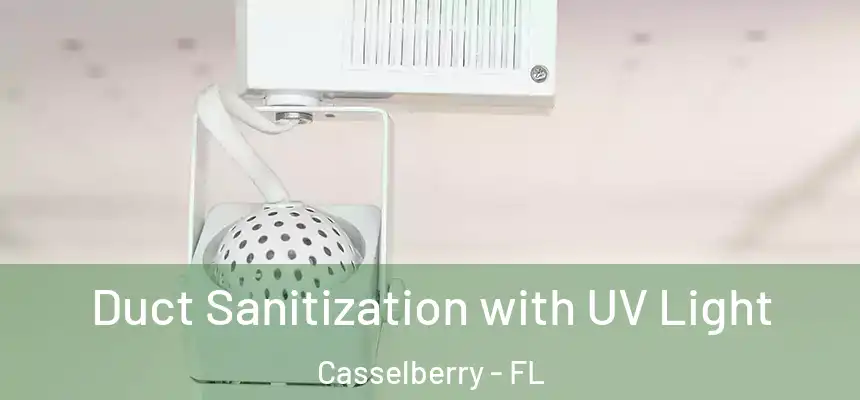 Duct Sanitization with UV Light Casselberry - FL