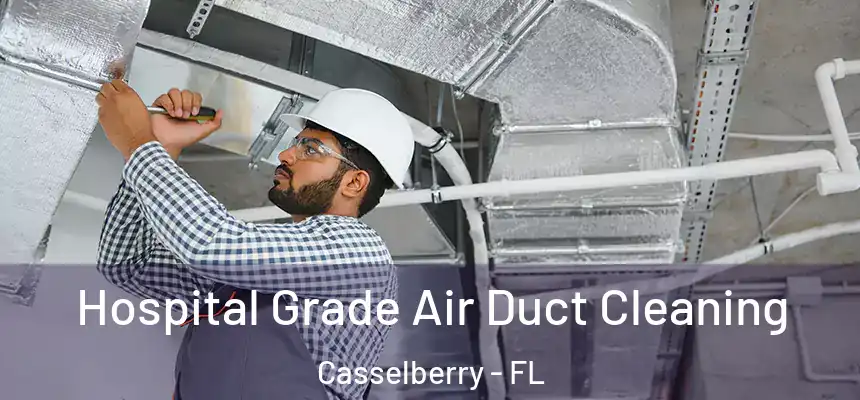 Hospital Grade Air Duct Cleaning Casselberry - FL