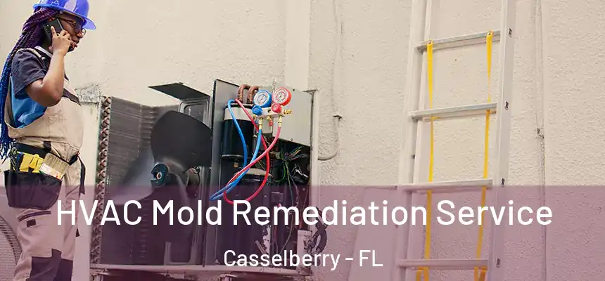 HVAC Mold Remediation Service Casselberry - FL