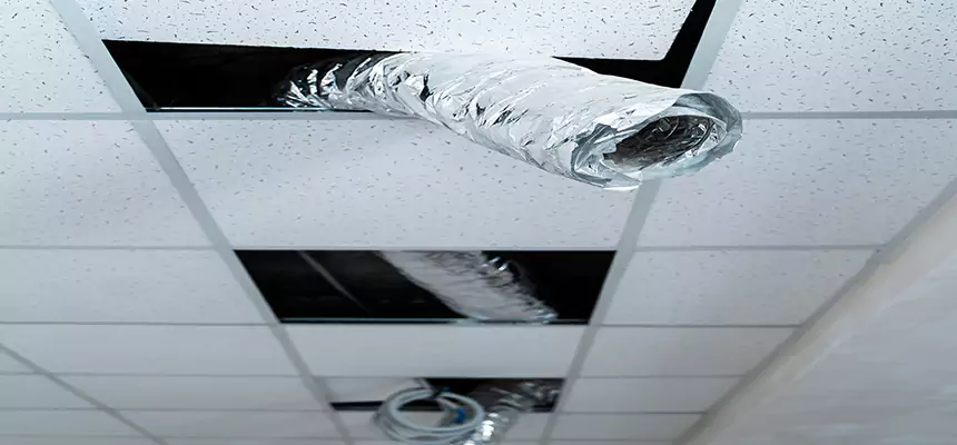 Affordable HVAC Sanitizing After Pest Removal in Casselberry