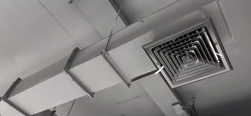 Our Rodent Droppings In Vents Services in Casselberry, FL