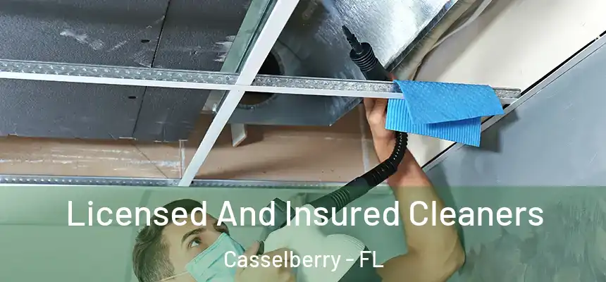 Licensed And Insured Cleaners Casselberry - FL