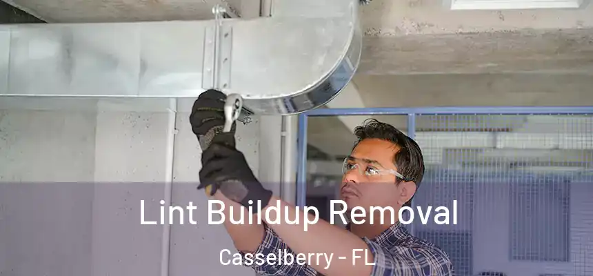 Lint Buildup Removal Casselberry - FL