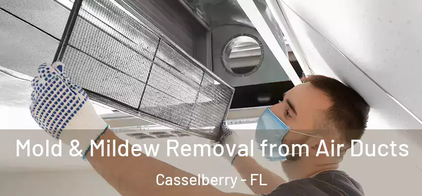 Mold & Mildew Removal from Air Ducts Casselberry - FL