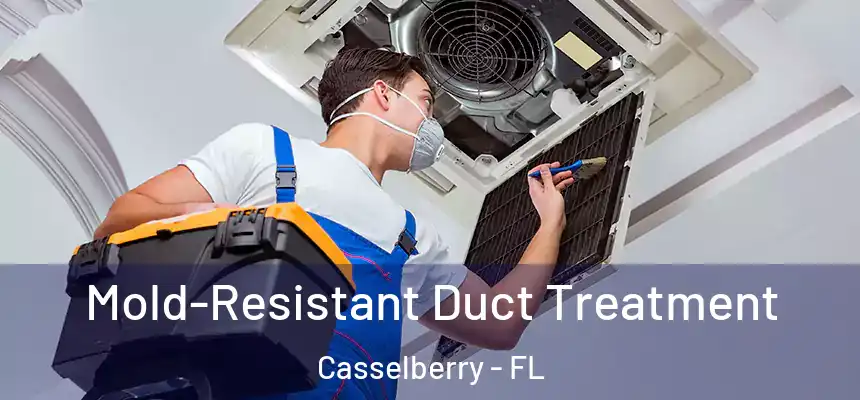 Mold-Resistant Duct Treatment Casselberry - FL
