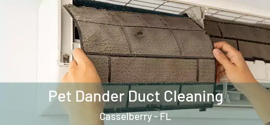 Pet Dander Duct Cleaning Casselberry - FL
