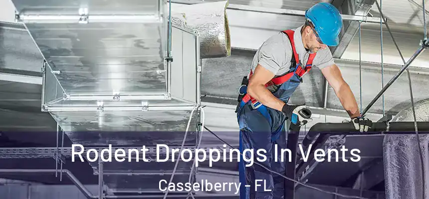 Rodent Droppings In Vents Casselberry - FL