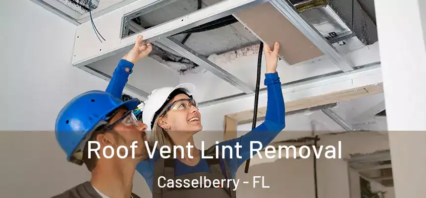 Roof Vent Lint Removal Casselberry - FL