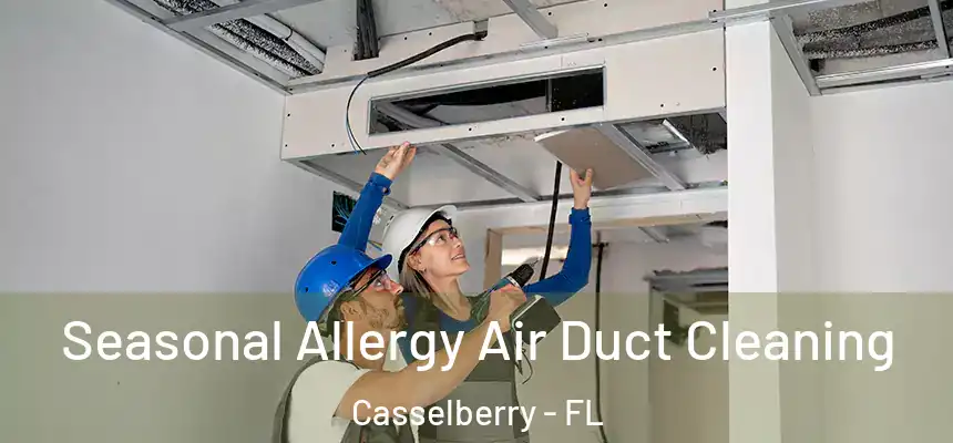 Seasonal Allergy Air Duct Cleaning Casselberry - FL