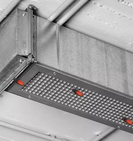 About Air Duct Cockroach Removal in Casselberry, FL