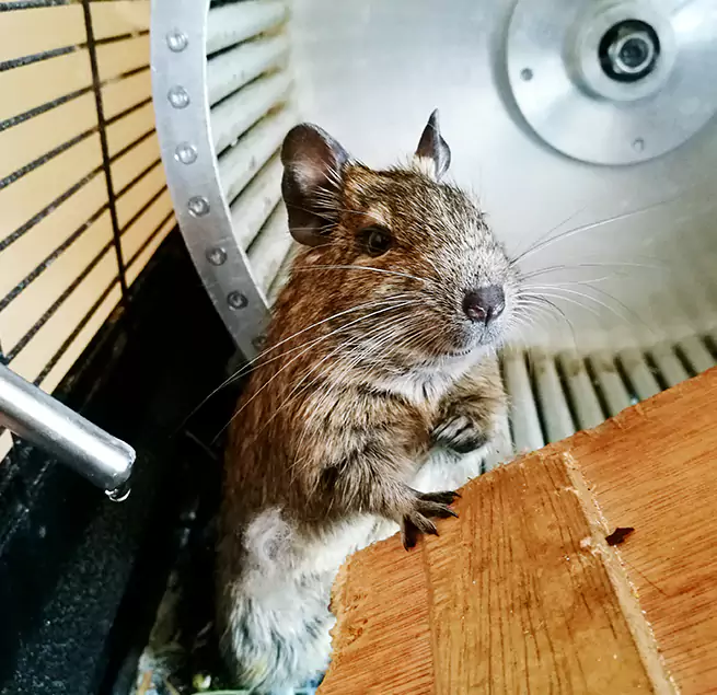 Why Homeowners & Businesses Trust Us Casselberry, FL