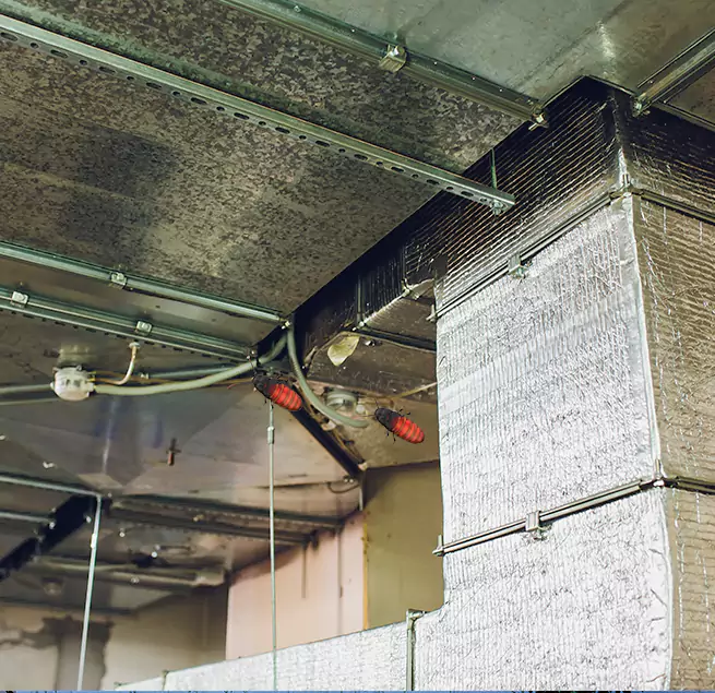 Why Homeowners & Businesses Trust Us Casselberry, FL?