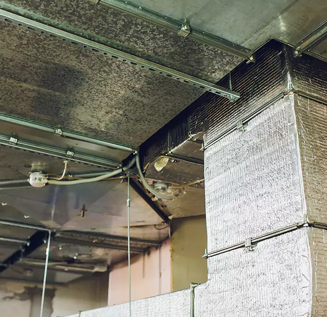 Why Homeowners & Businesses Trust Us in Casselberry, FL?