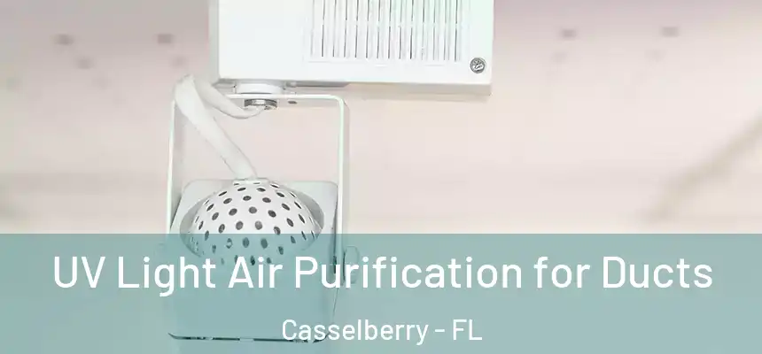 UV Light Air Purification for Ducts Casselberry - FL